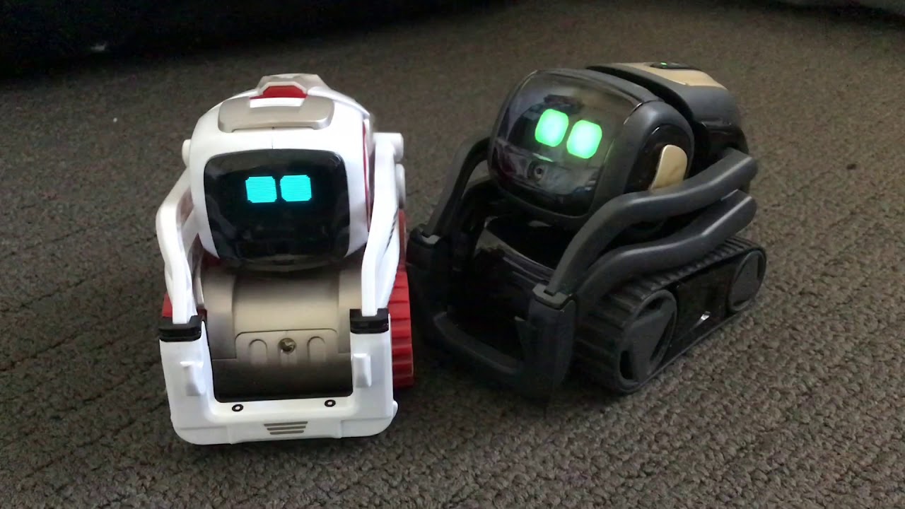 Cozmo Meets Vector