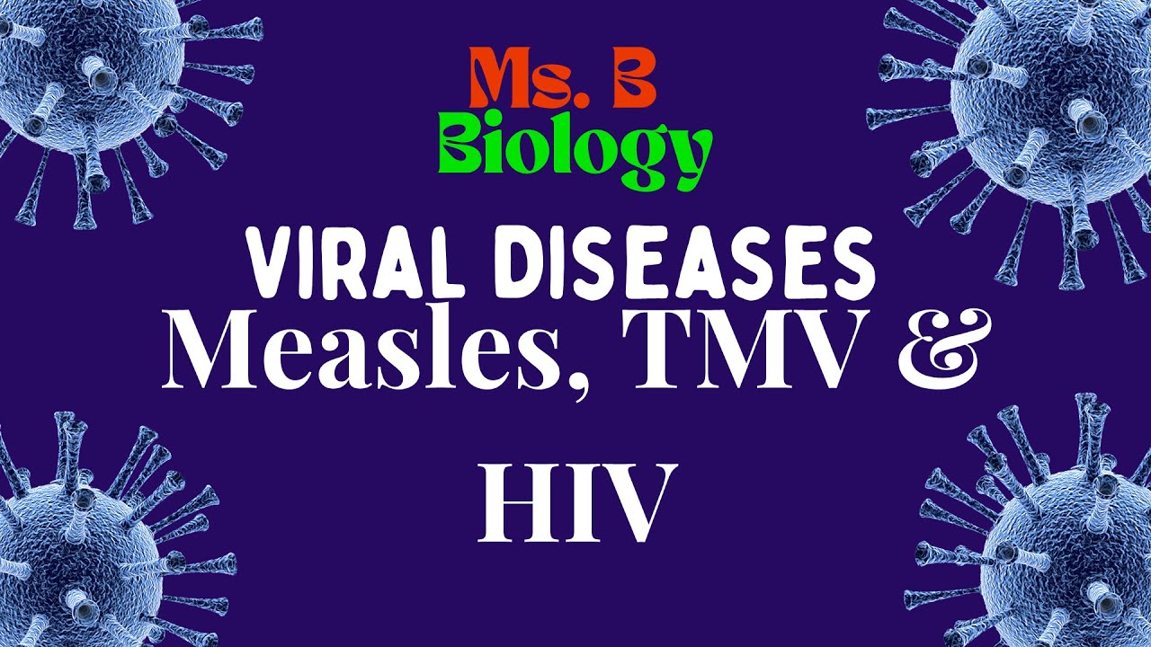 VIRAL DISEASES/TMV/ MEASLES/ HIV/ GCSE BIOLOGY