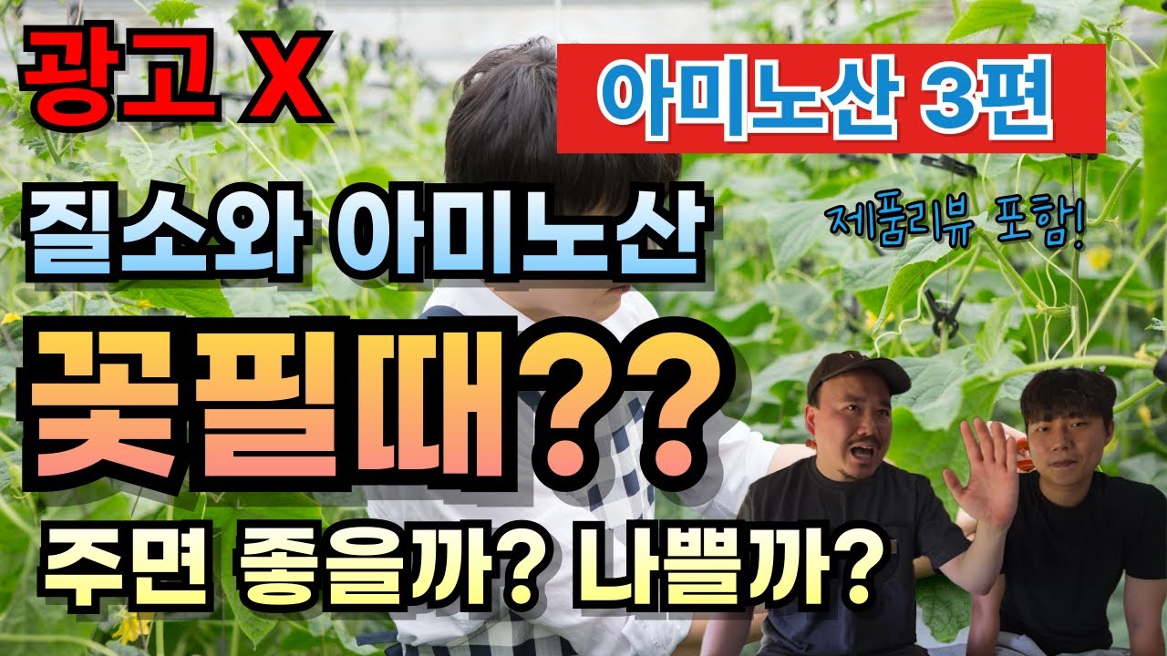 꽃피게 하는 아미노산? 정말 효과 있을까? 요청하신 아미노산제 리뷰까지 | 비료전문가가 알려주는 아미노산 고르는 방법  | 농대남들 아미노산 영양제 3편