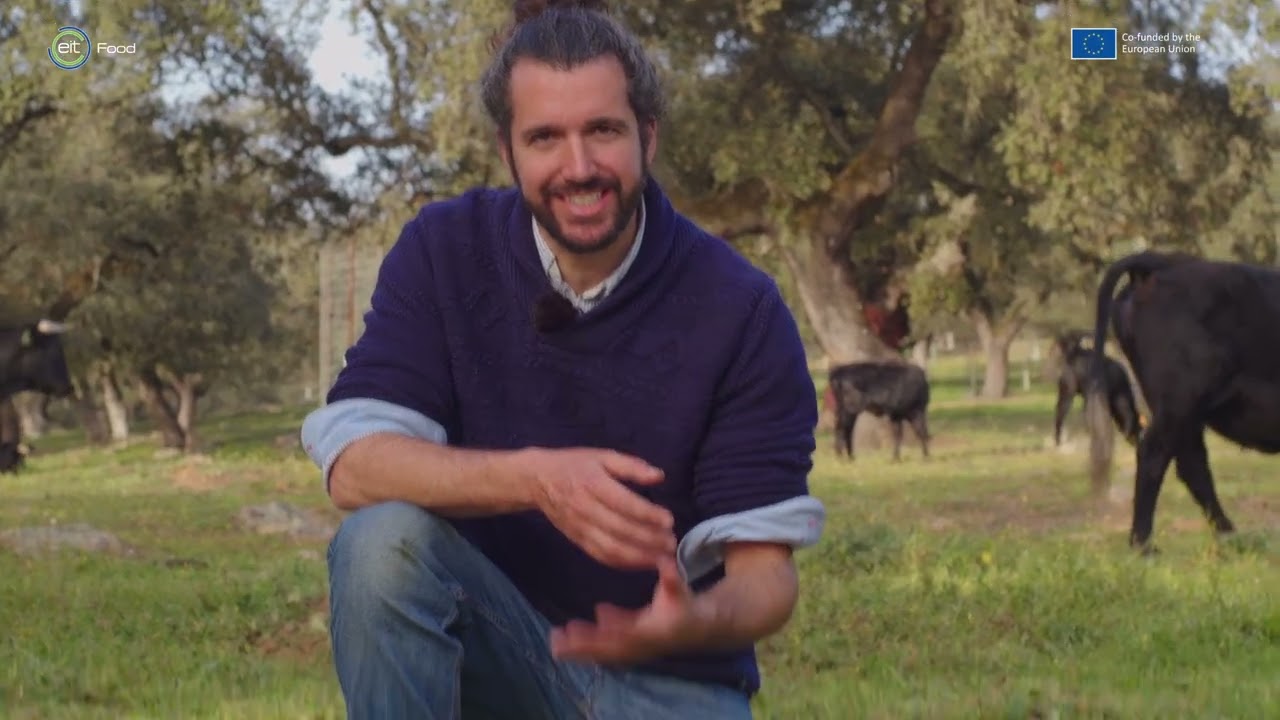 Regenerative Agriculture (Agricultura Regenerativa) | Curso 2: La acción regenerativa del ganado