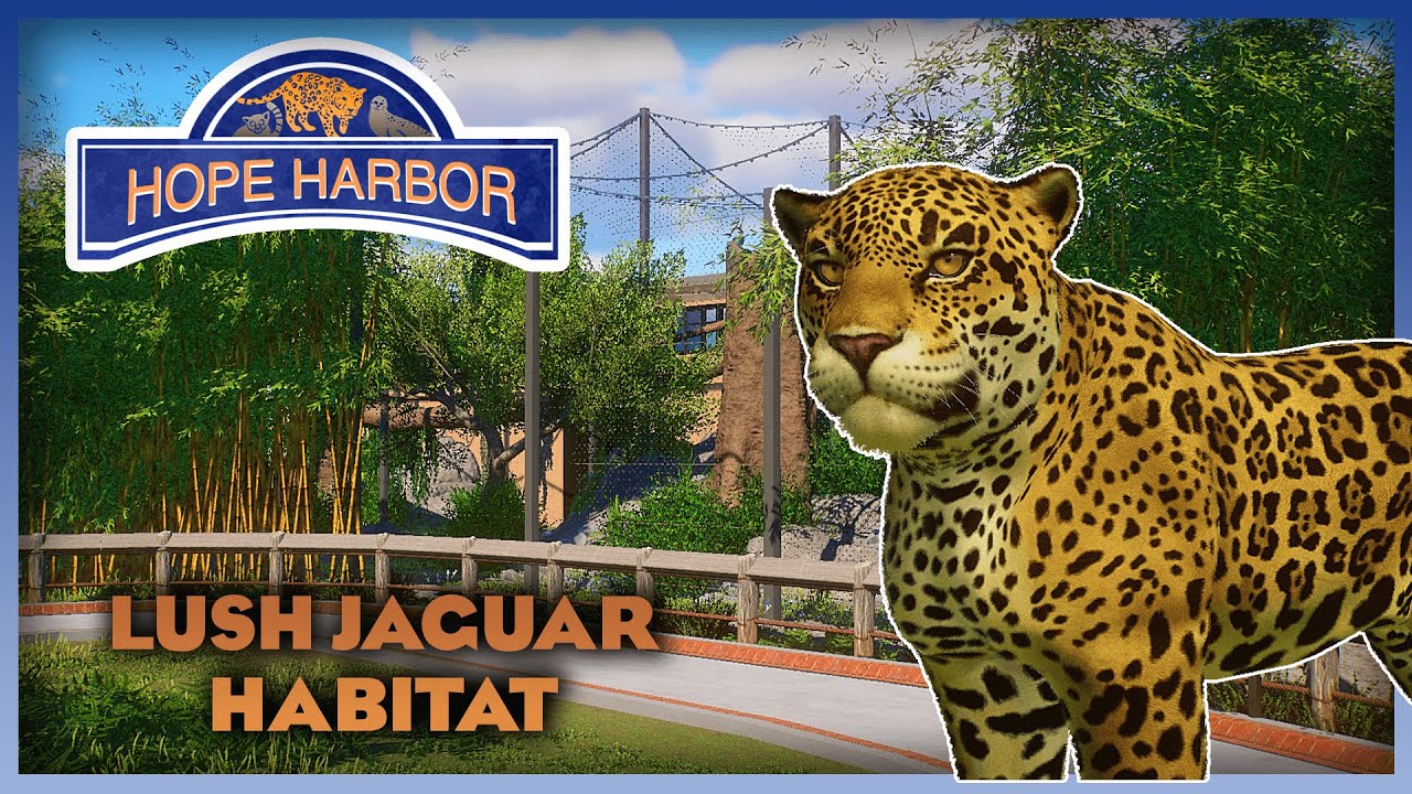Lush Outdoor Jaguar Habitat! - Hope Harbor Zoo