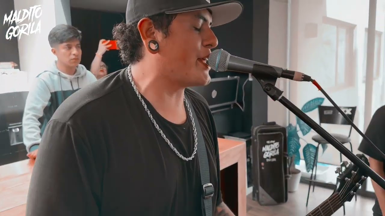 Maldito Gorila- Dia Del Des-Amor Y La Ene-Mistad (Live Session)