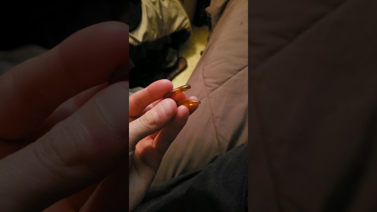 3 gram dab worm