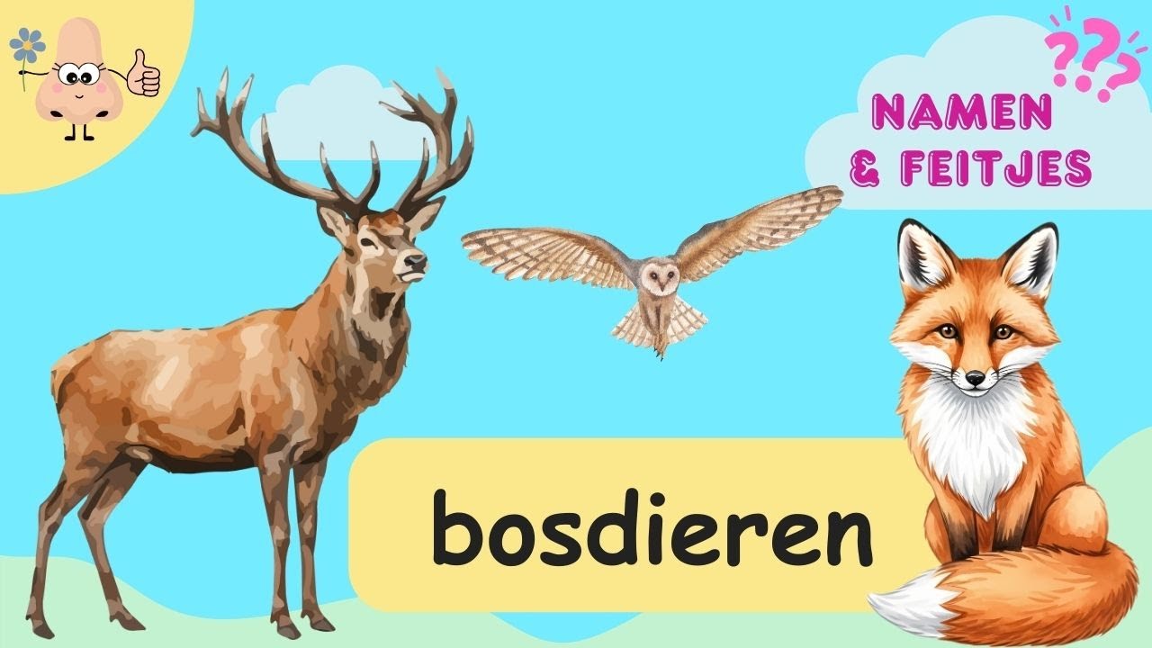 Bosdieren Leren &ndash; Woordenschat voor Peuters & Kleuters