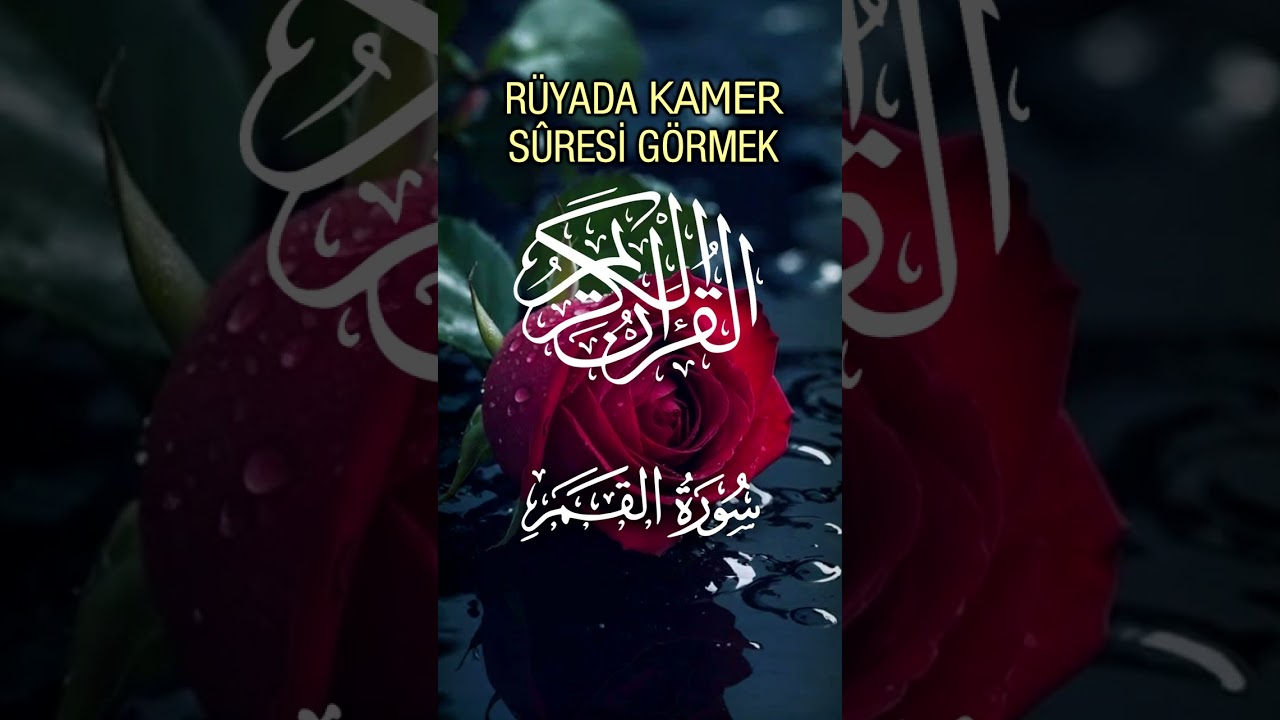 Rüyada Zariyât, Tûr, Necm, Kamer, Rahmân, Hadid, Mücâdele Sûrelerini Görmek | Dini Rüya Tabirleri