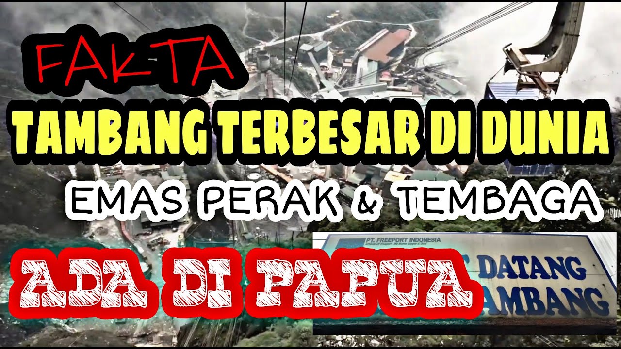 Freeport Indonesia perusahaan tambang terbesar di dunia ada di Papua sejak kami belum lahir ‼️Timika