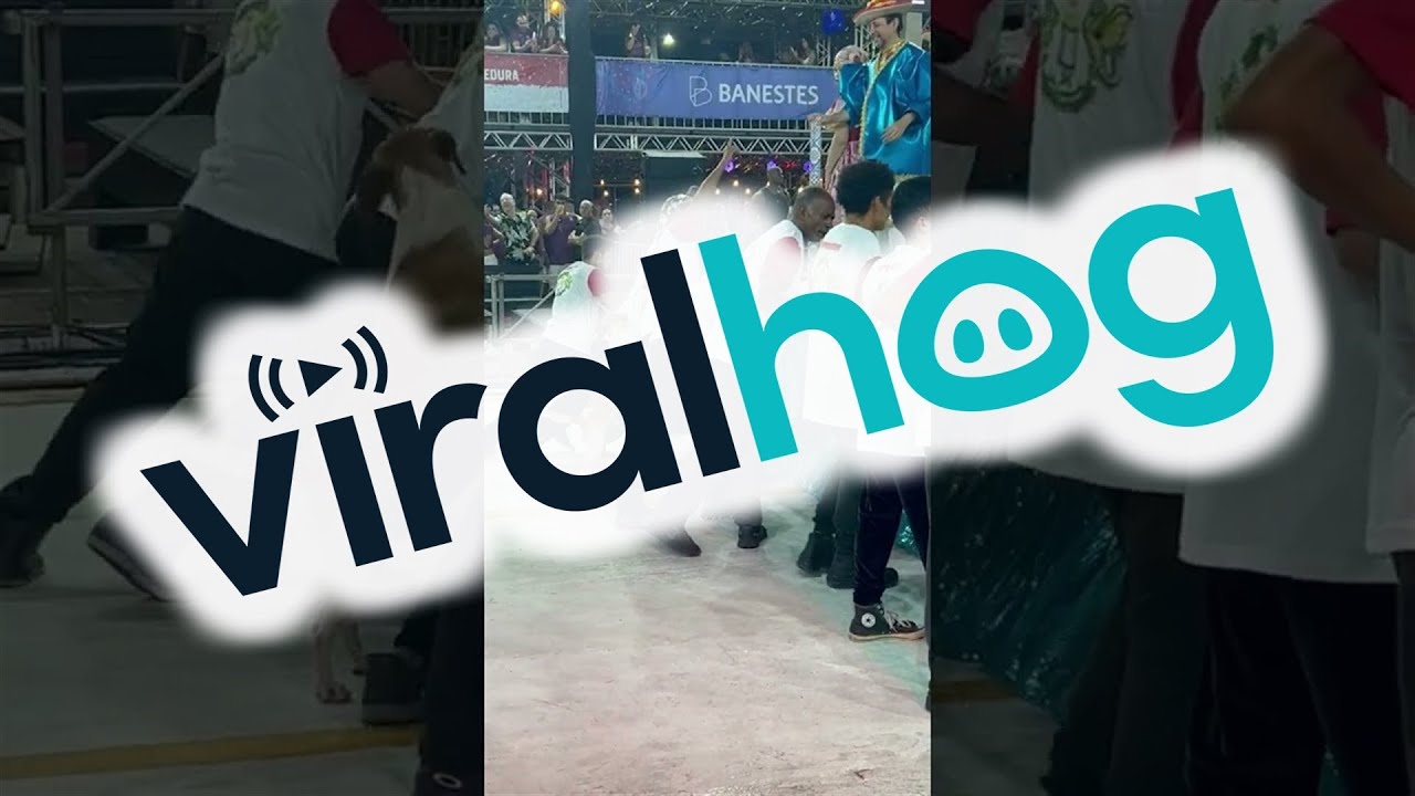 Dog Helps Guys Push Float at Carnival in Brazil || ViralHog