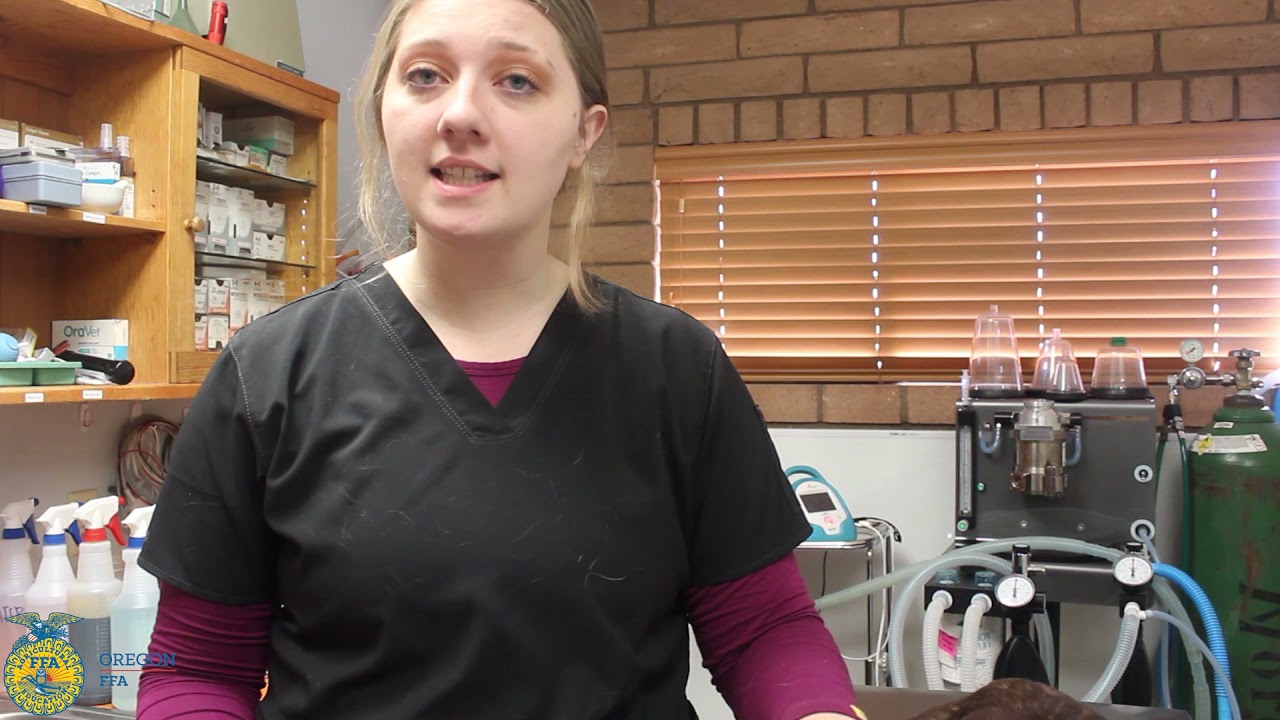 Administering Oral Tablet-Capsule