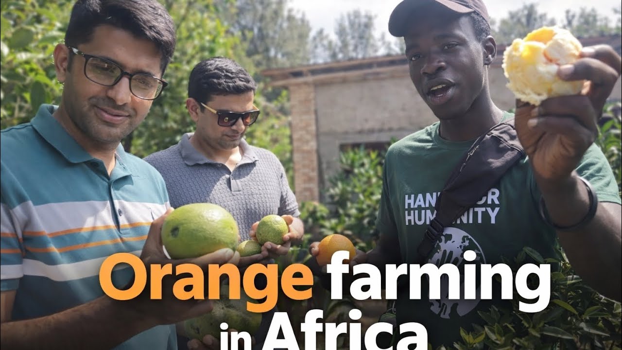 Fruits की खेती करके करोड़पति ! African agricultural Farm #farmer #farming #agriculture #fruit #tour 