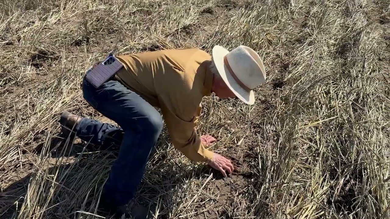 Stewardship in Action - The Anderson Family's Commitment to Sustainable Farming in Georgia