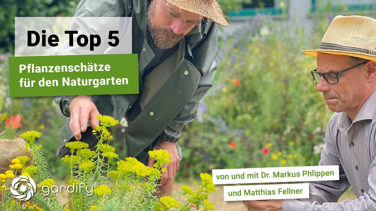 Die Top 5 - Pflanzenschätze für den Naturgarten mit Matthias Fellner, Insekten | gardify Tipps
