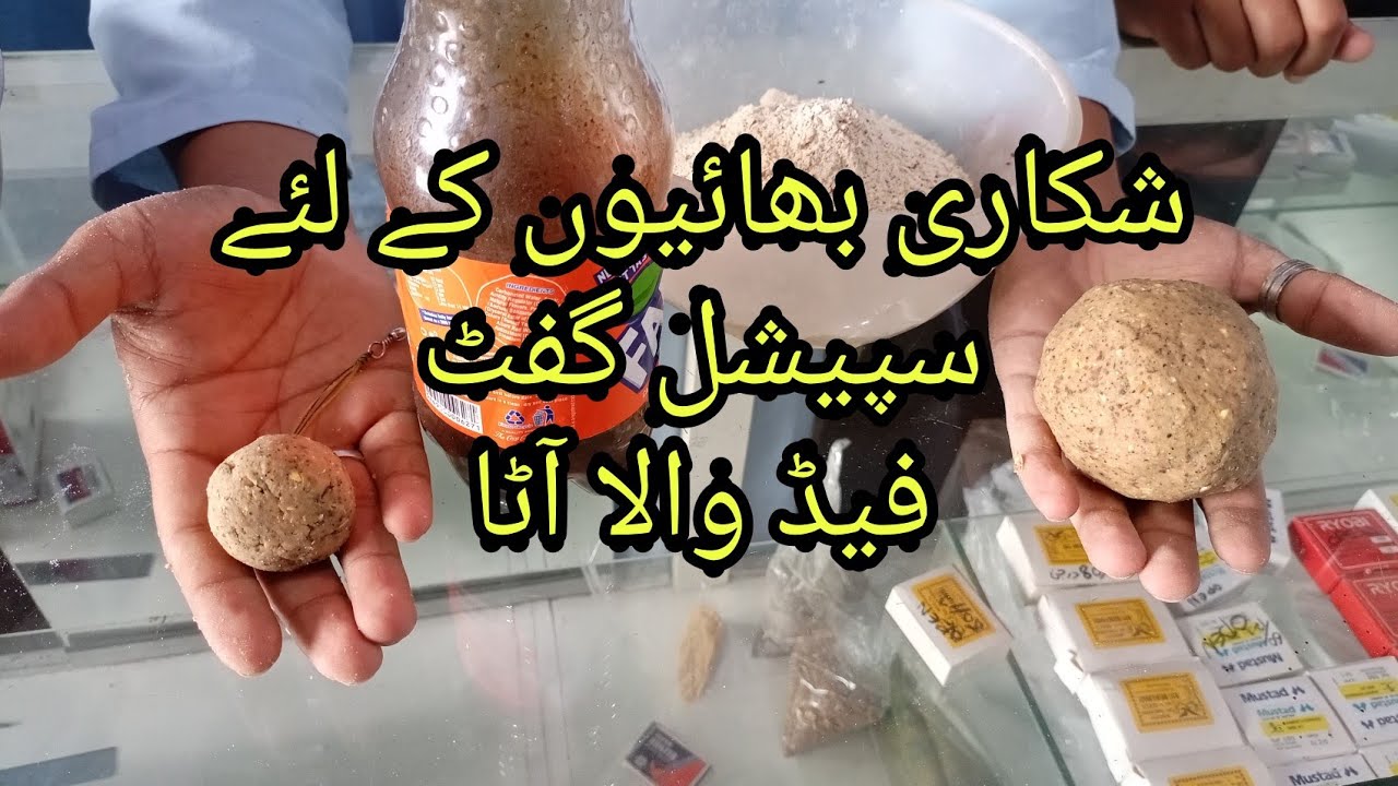 Special Gift For All Angulars Universal Fish Hook Bait | Mangla Dam Fishing Muhammad Saad