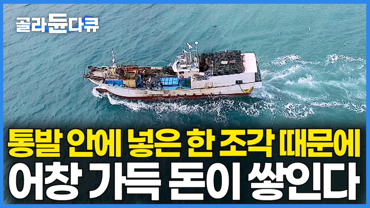 &ldquo;이게 다 얼마야&rdquo; 통발 안에 겨우 멸치 한 조각 넣었을 뿐인데｜1만 개 올라오는 족족 미친 듯이 올라온다｜한국이 전 세계 1등이라더니 와｜만선 붕장어잡이｜극한직업｜#골라듄다큐