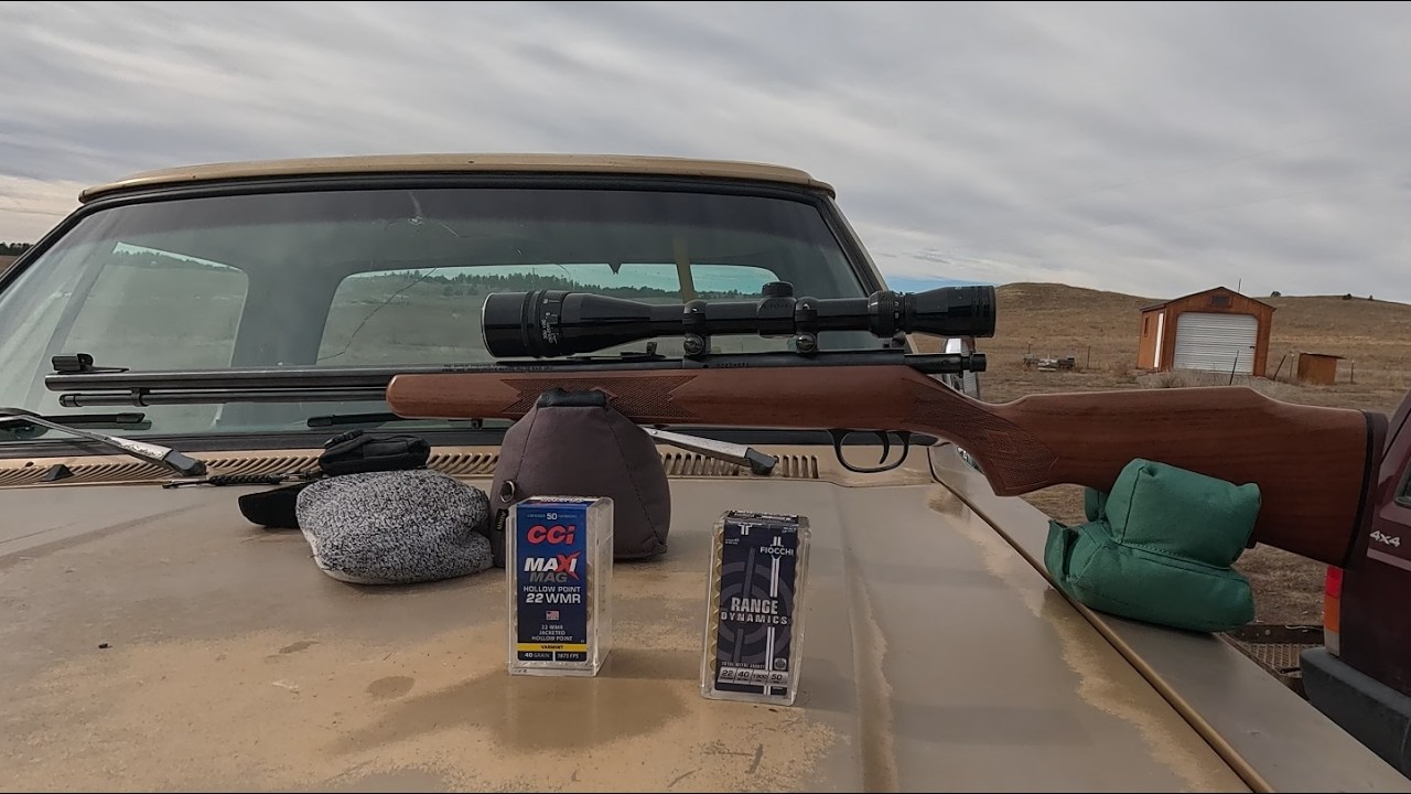 .22 Magnum Ammo Test Marlin Model 883