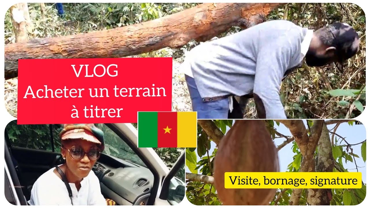 [Part 3] #Astuces #Vlog #Cameroun Vlog|  Acheter un terrain à titrer | visite, bornage et signature