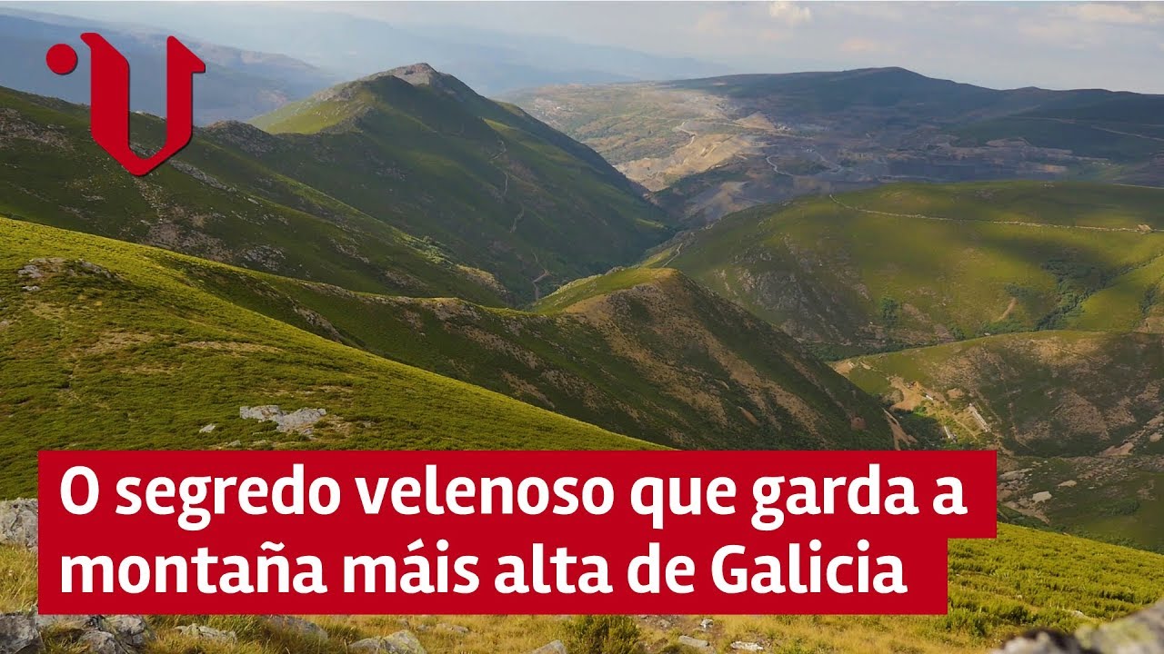 Teixadal de Casaio