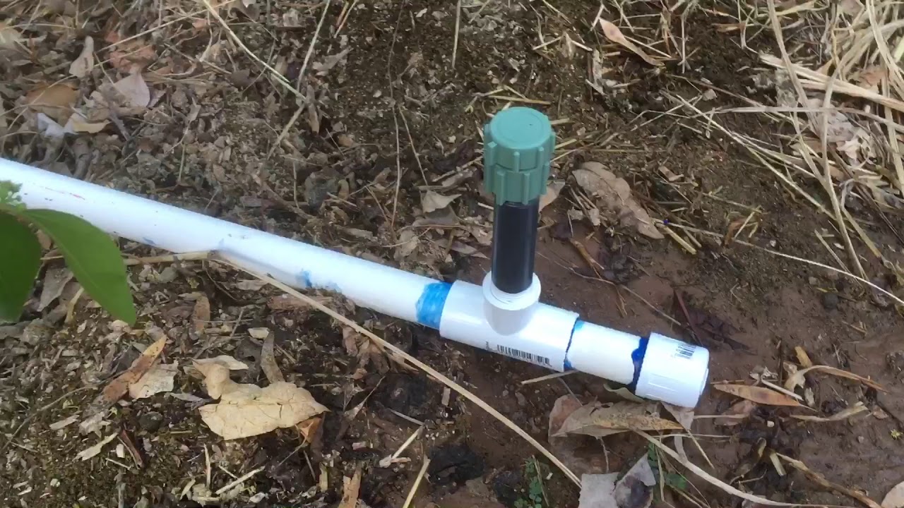 Easy Way to Water Fruit Trees