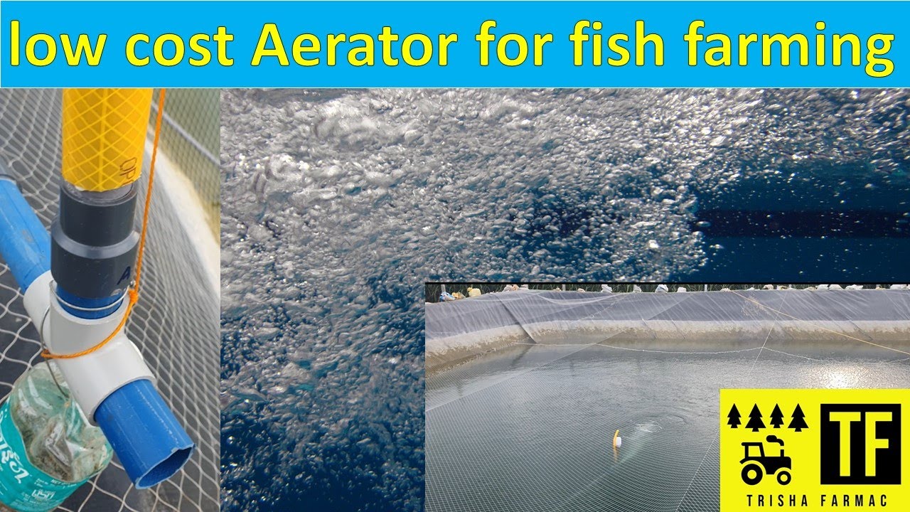How to make aerator or increase  oxygen in fish pond | कम पैसे मे ऑक्सिजन कैसे बडाऐ