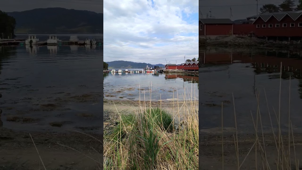 Kvalv&aring;g Frei