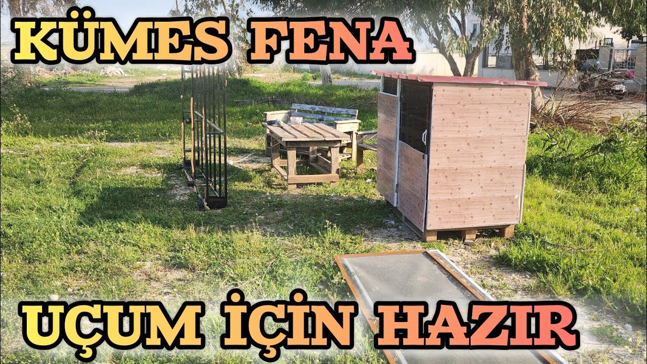 Uçum Kümesimiz Bitmek Üzere Kuşların Hedefi Tamam
