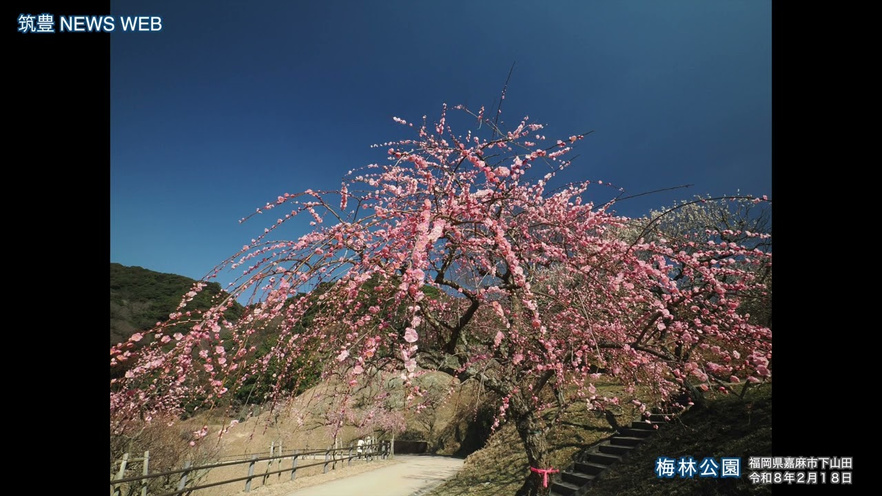 嘉麻市「梅林公園」photo
