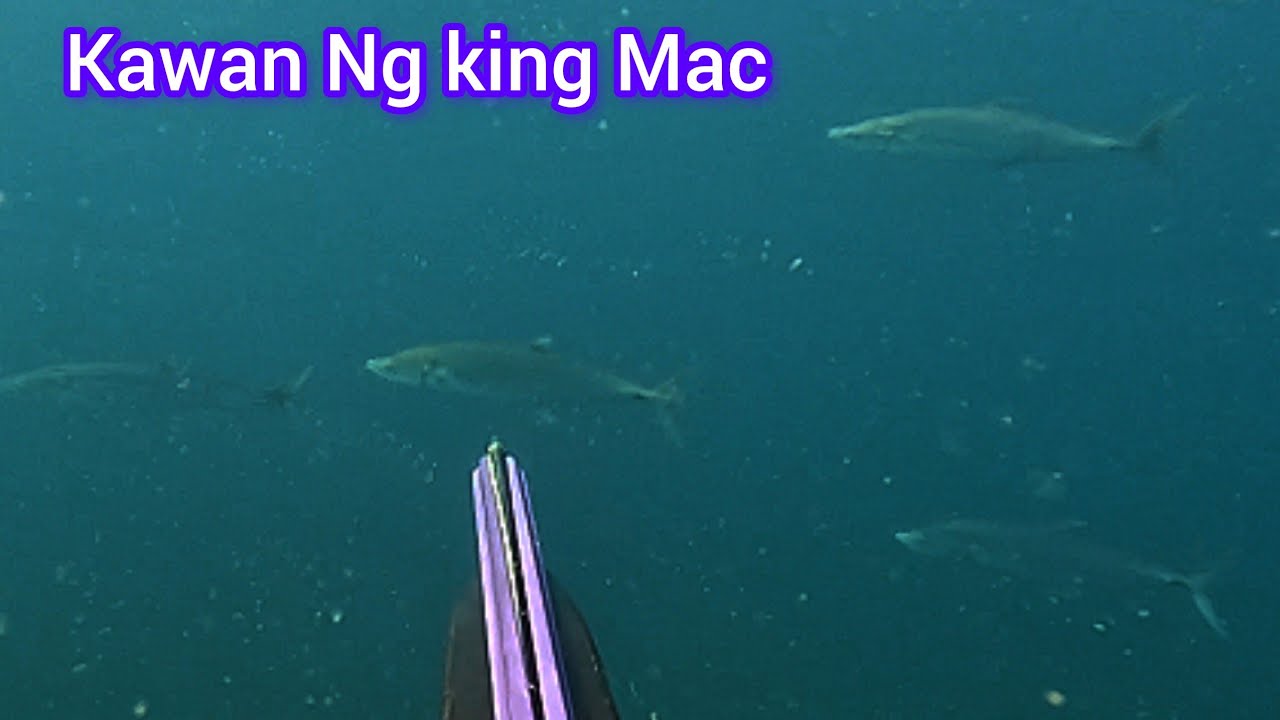 #SPEARFISHING MAY GRUPO NA DUMAAN