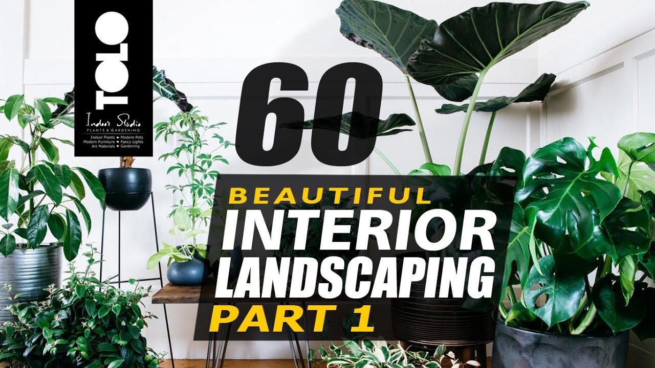 Interior Landscaping Part 1