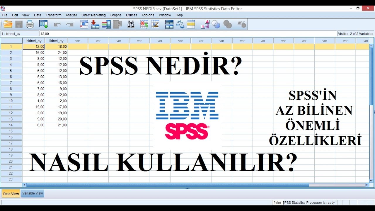 SPSS Nedir? Nasıl Kullanılır? -Veri Girişi- SPSS'in Az Bilinen Oldukça Faydalı Özellikleri