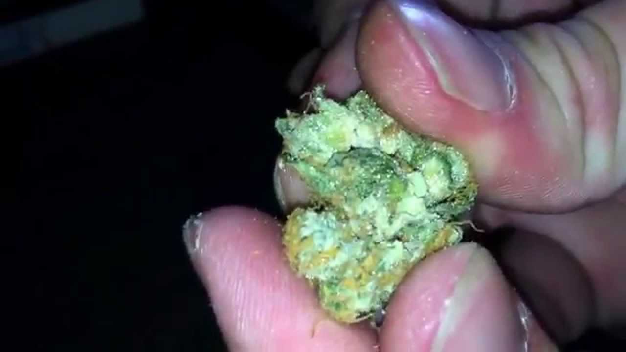 Master Cookies - HD Weed