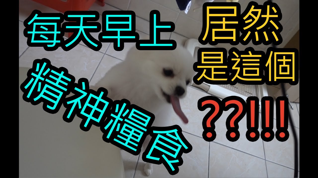 《Nami #004》 早上的精神糧食【WingTV】
