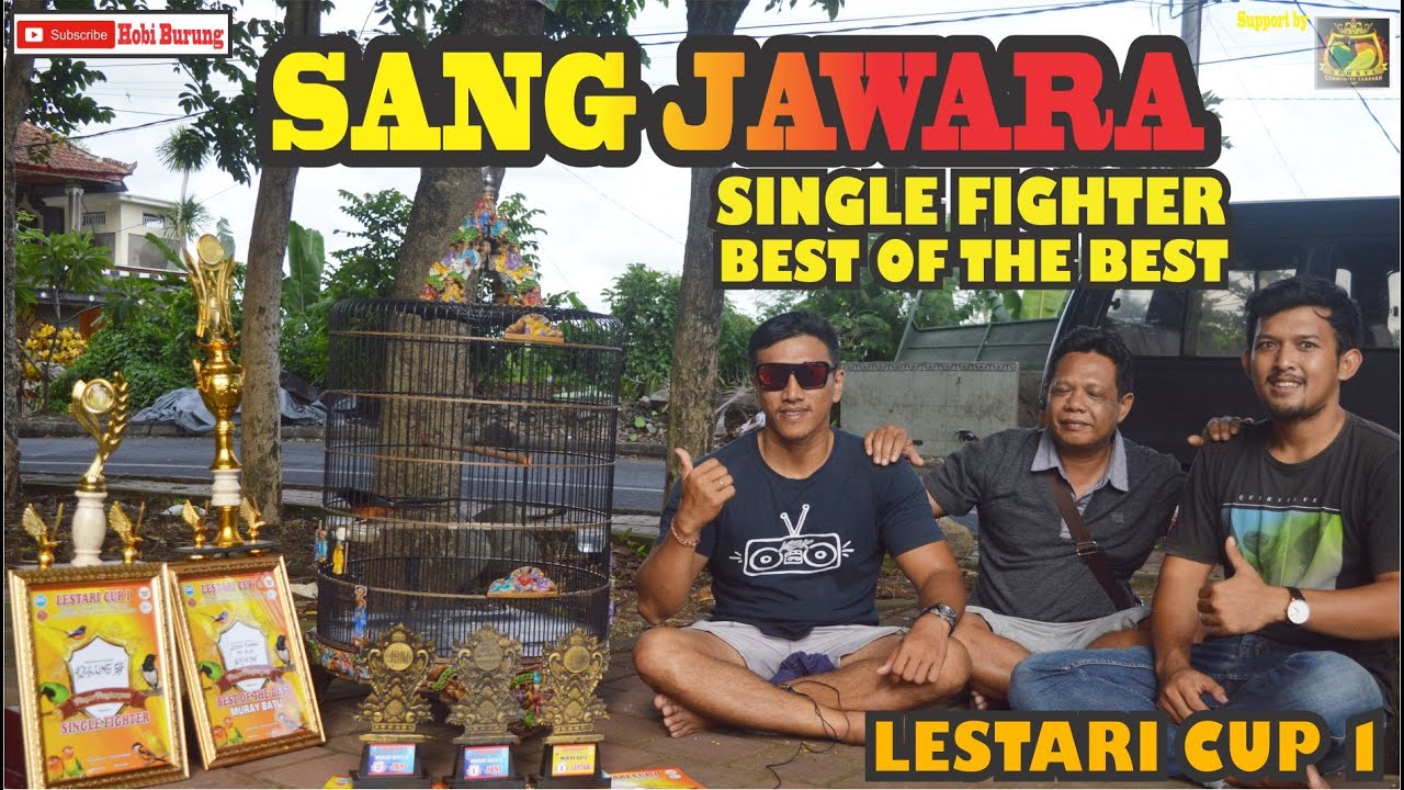 LESTARI CUP 1 I SANG JAWARA I MB JOKO TINGKIR I BOB I SF