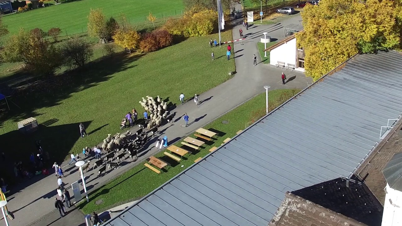 Plantahof 2015