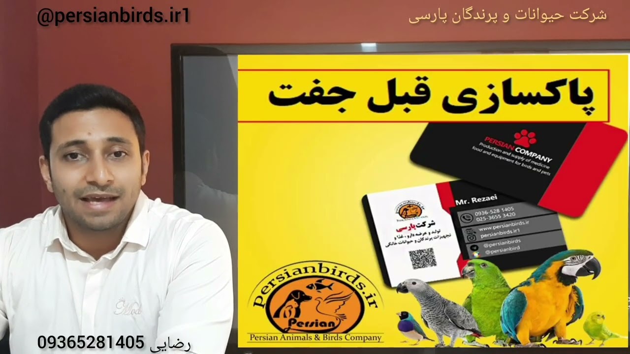 پاکسازی قبل از جفت در پرندگان قسمت ۲ @Persianbirds 