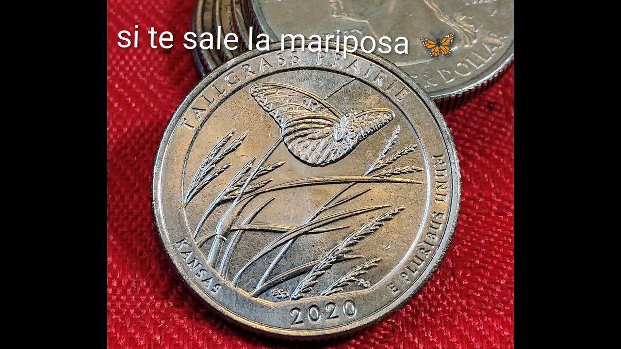 Encontraste la moneda con una mariposa 🦋!! Mira cuánto vale 💰🕵️v75 w