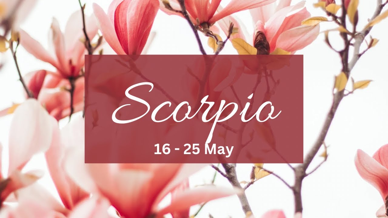 Scorpio❤️Someone who was emotionally avoidant their feelings for u run deep but..