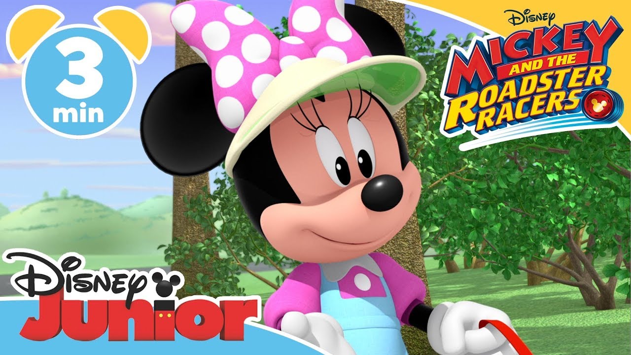 Mickey and the Roadster Racers | Puppy Play Park - Magical Moment ✨ | Disney Kids
