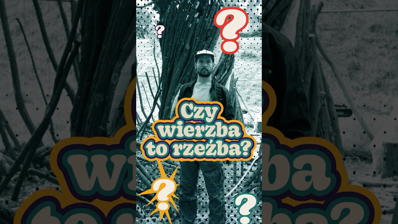 Czy wierzba to rzeźba? Park Fosa i stoki Cytadeli #zzw #park #drzewa