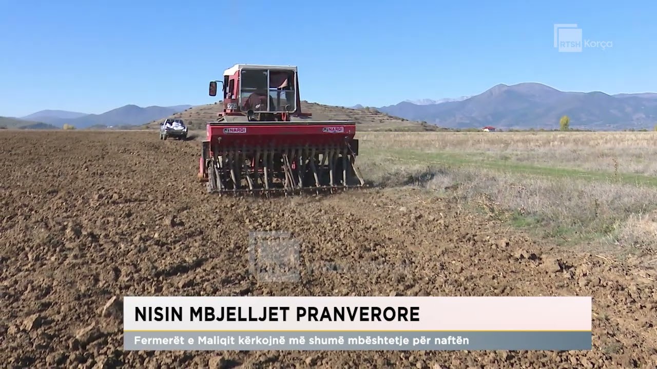 Nisin mbjelljet pranverore/ Fermerët e Maliqit kërkojnë më shumë mbështetje për naftën