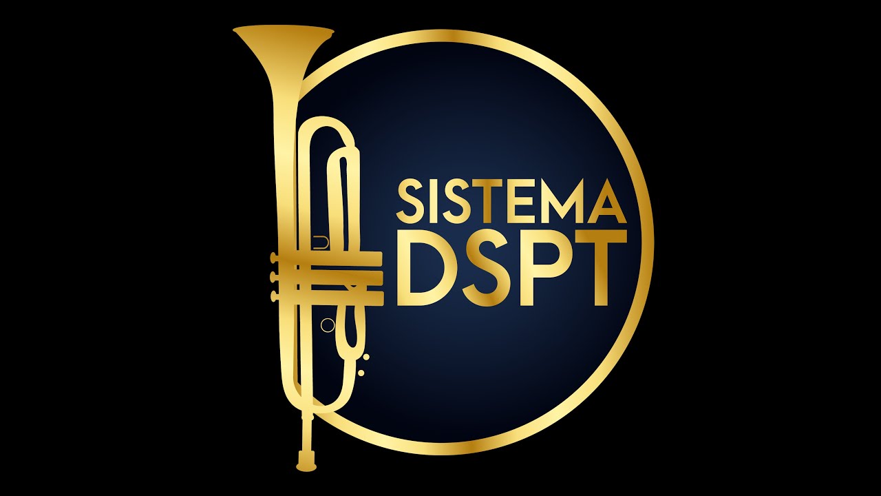 CURSO INTENSIVO DEL SISTEMA DSPT 1era EDICIÓN