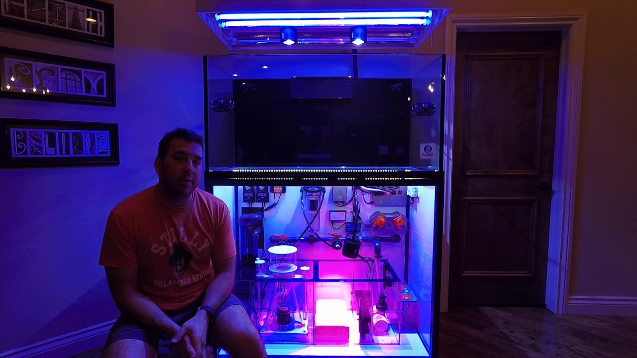Ultimate 120 Gallon Reef Tank: Setup Overview! Ep 4