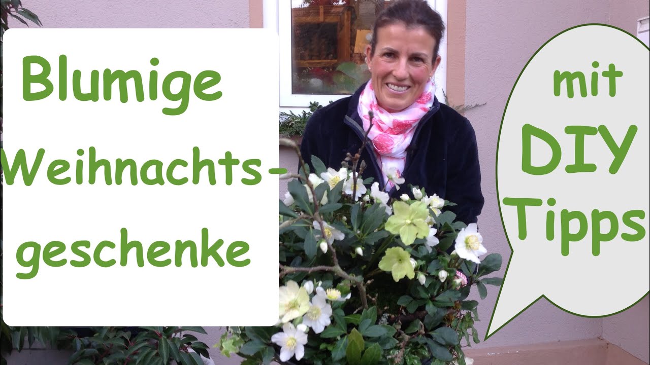 BLUMIGE GESCHENKIDEEN  zu Weihnachten mit DIY-Dekotipps Floristik-Anleitung zum selber machen