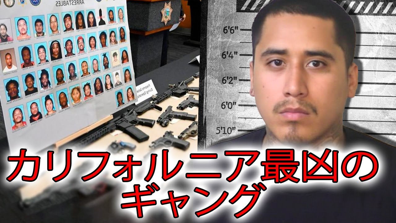フレズノ・ブルドッグス：カリフォルニア最強のギャング組織 秘密の歴史 メキシコ系アメリカ人犯罪ストリートギャング・刑務所ギャング その組織の実態とメキシコ系アメリカ人ギャングの歴史