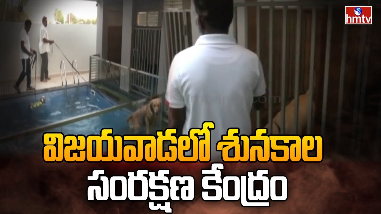 విజయవాడలో శునకాల సంరక్షణ కేంద్రం | Dogs Care Center At Vijayawada | hmtv