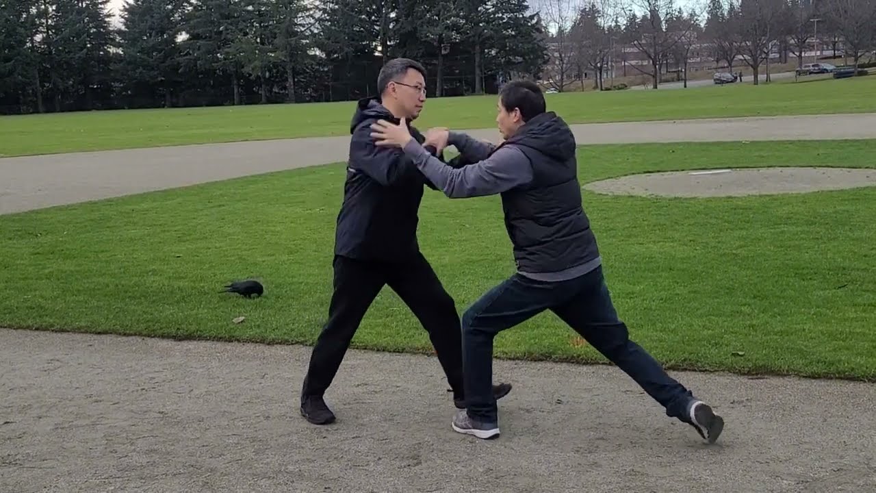 Taichi Yang Style Applications Demo Part 3