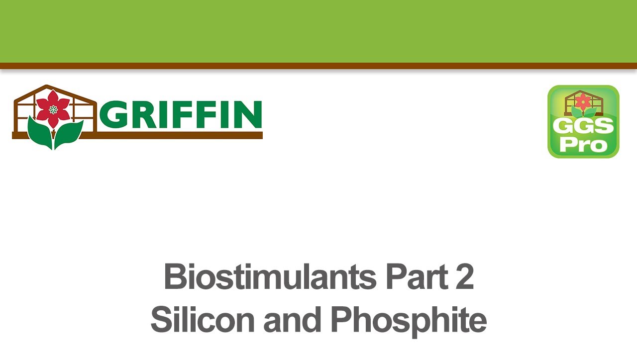 Biostimulants Part 2 - Silicon and Phosphite