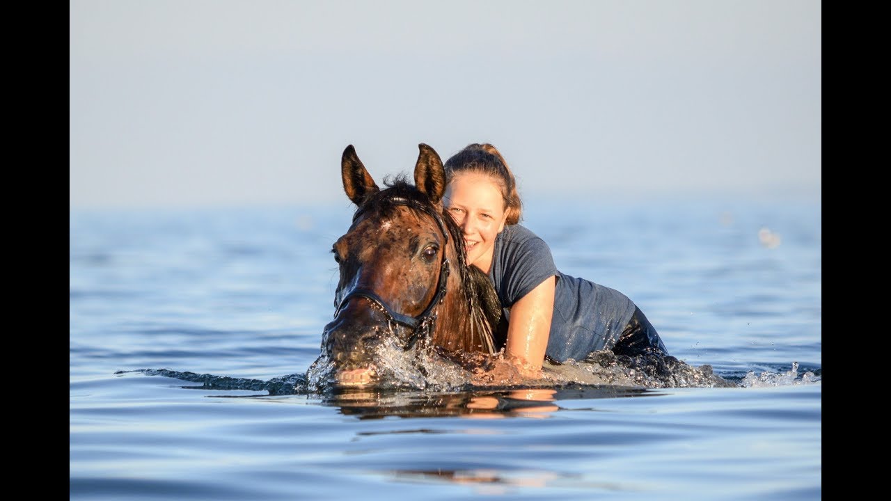 Schwimmen mit dem Pferd // Ostsee 2018