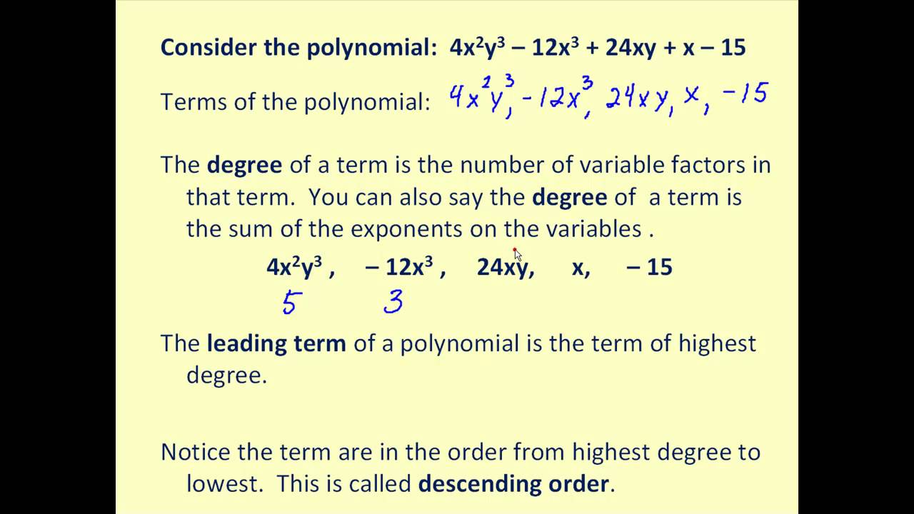 Introduction to Polynomials