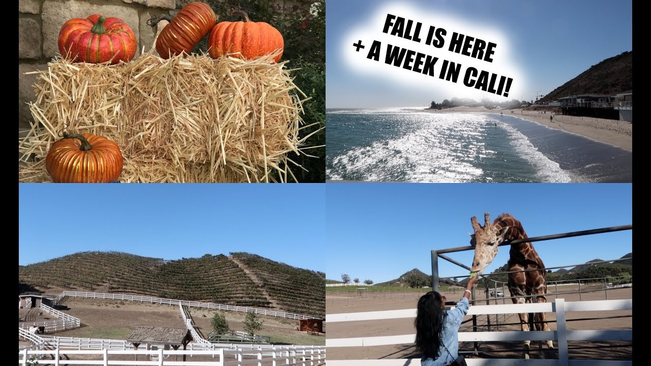 FALL IS HERE! + A Week In CALI