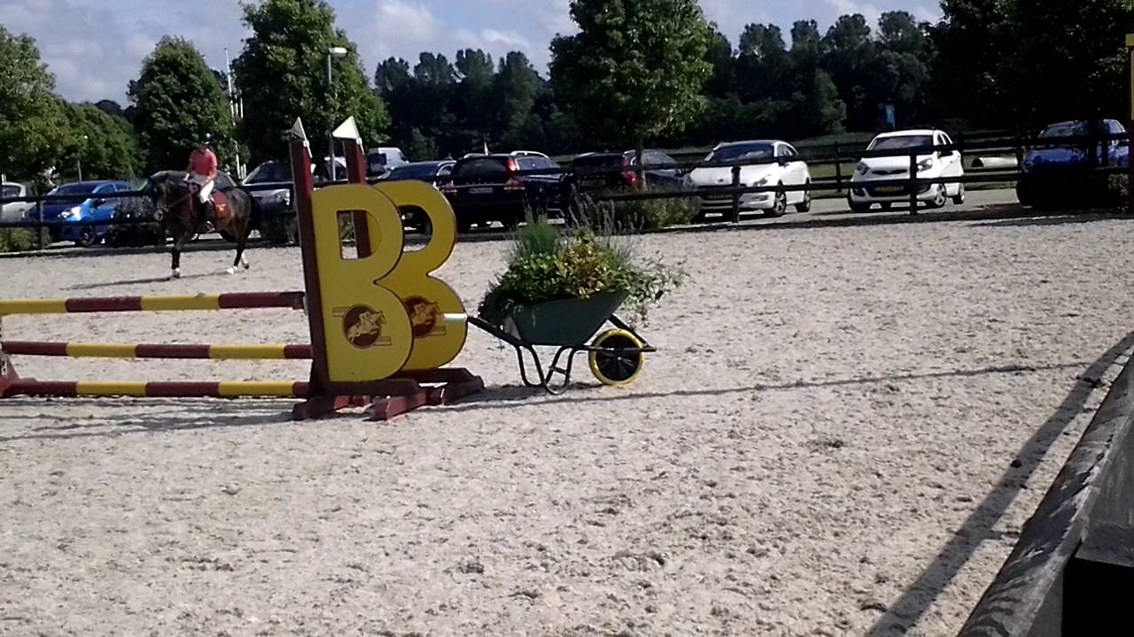 Competition manege beukers 17/07/16 May Manschrov