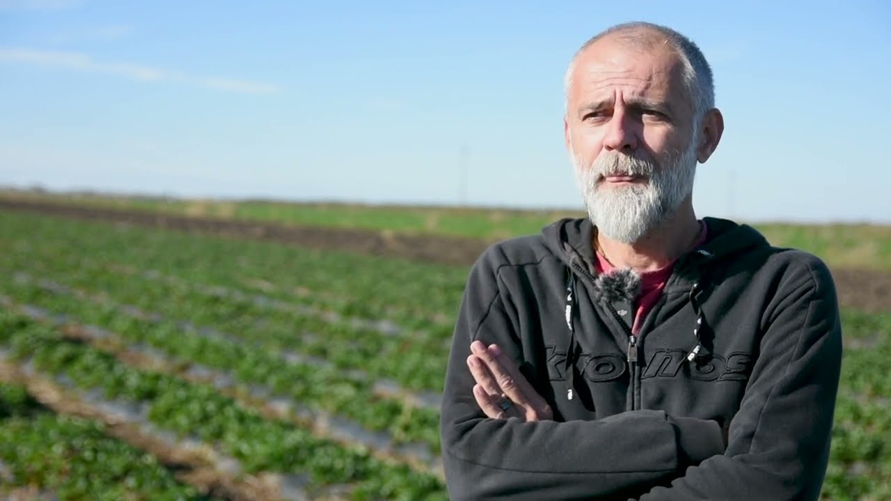 Šta su ove sezone NAUČILI DOMAĆI JAGODARI?